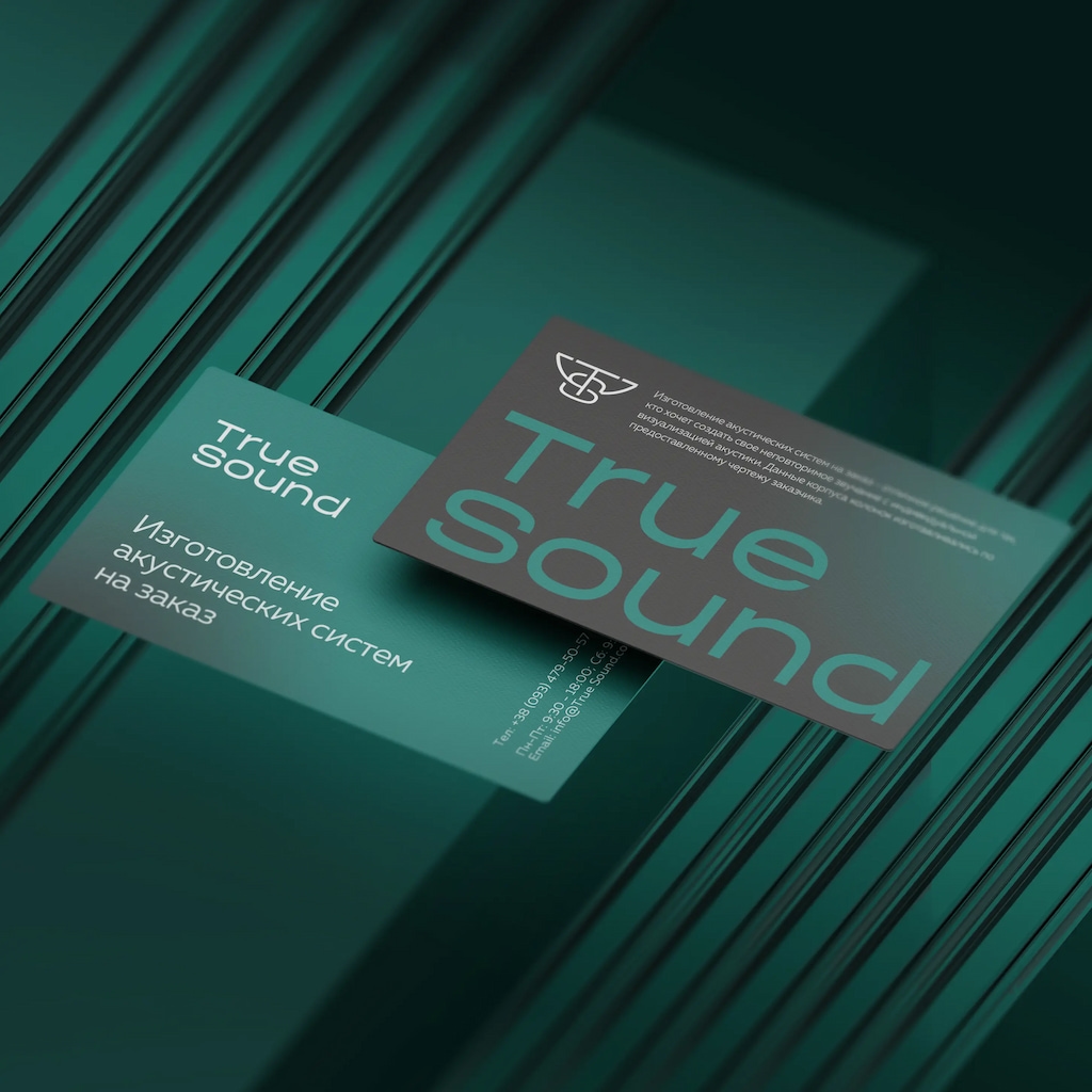 логотипу та візитки для бренду TrueSound, Стильна айдентика