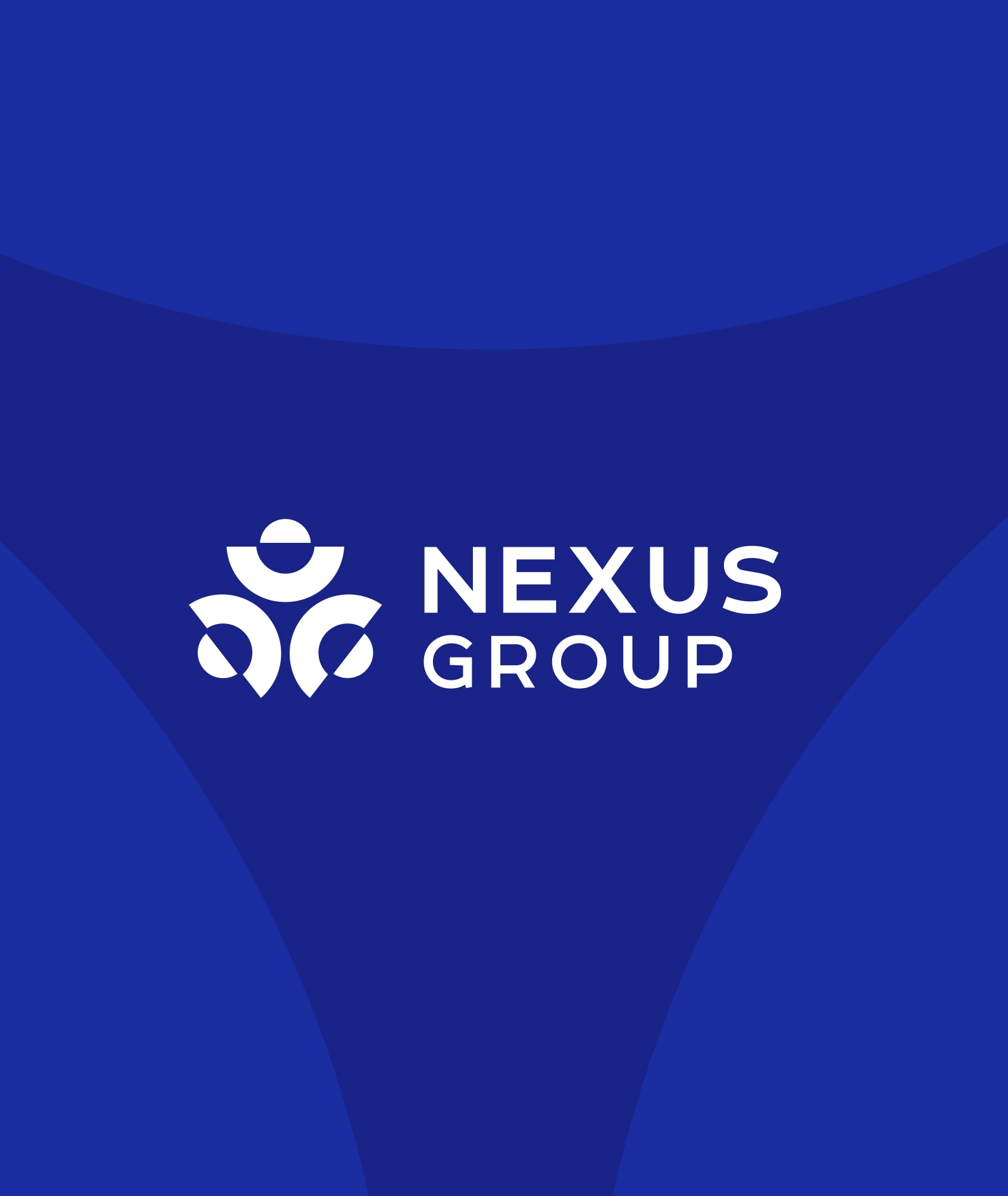 фірмовий стиль nexus для цифрового бізнесу  
